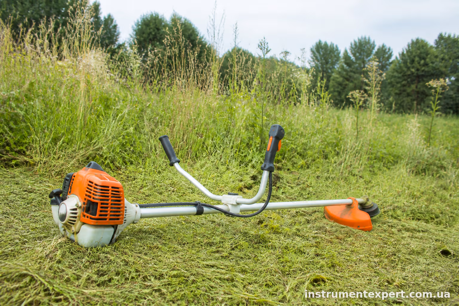 Мотокоса STIHL FS 55: огляд, витрата пального та обслуговування